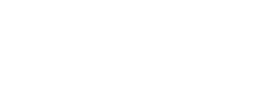 Blueray International Logo